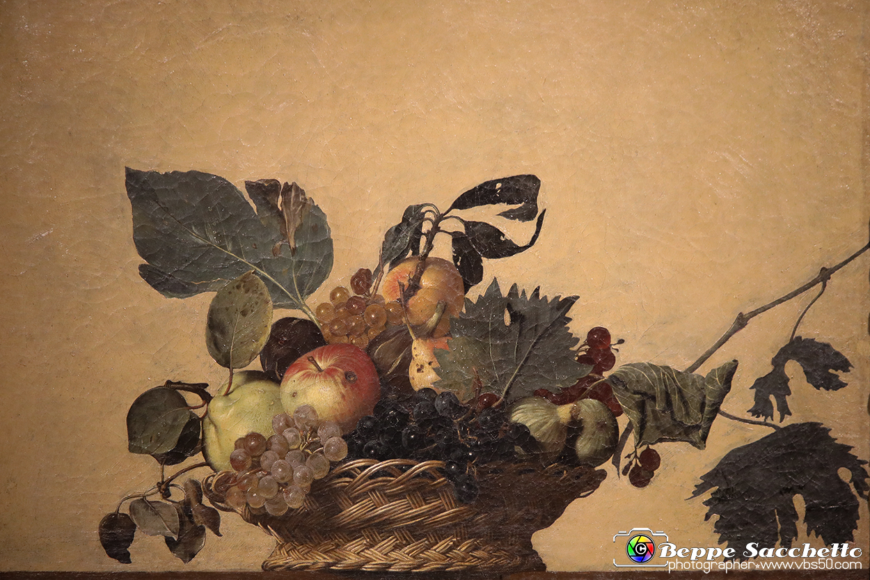 VBS_7860 - La canestra di Caravaggio.jpg